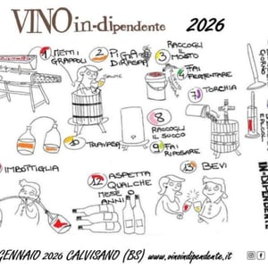 Vino in-dipendente #11