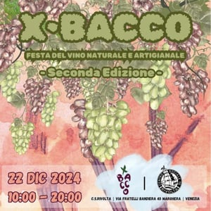 XBACCO  “festa del vino naturale e artigianale” Venezia #2