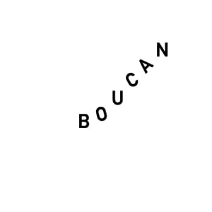 BOUCAN ARLES