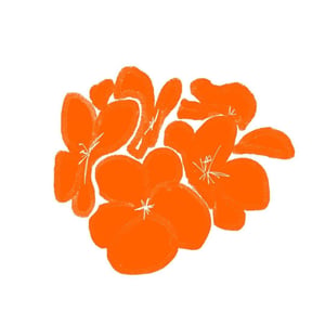 Orange Bird