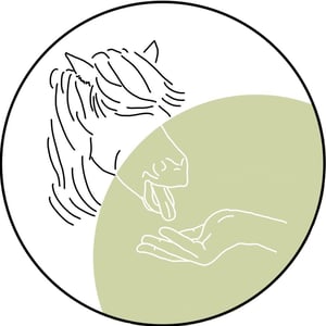 Feed The Pony