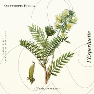 L’Esperluette
