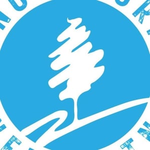 Pino Azzurro Vineria logo