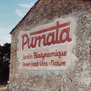 PUMATA
