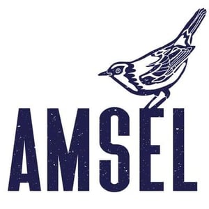 Amsel
