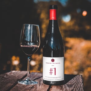 # 1 - Domaine les Davids - les-davids