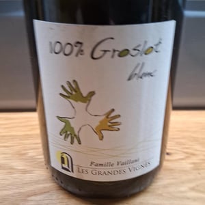 100% Groslot Blanc - Les Grandes Vignes - Laurence, Dominique & Jean-François Vaillant 