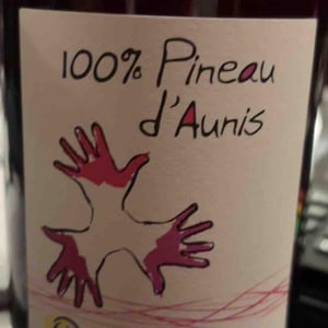 Les Grandes Vignes - Laurence, Dominique & Jean-François Vaillant - 100% Pineau d'Aunis