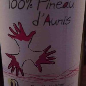 Les Grandes Vignes - Laurence, Dominique & Jean-François Vaillant - 100% Pineau d'Aunis