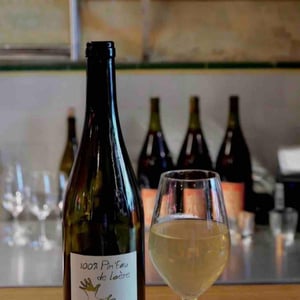 100% Pin'Eau de Loère - Les Grandes Vignes - laurence-dominique-jean-francois-vaillant