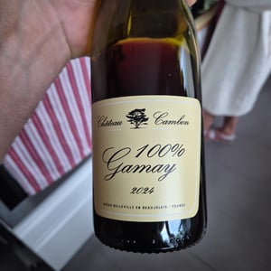 100% gamay - Château Cambon - alexandre-iwasuila-marie-lapierre-jean-claude-chanudet