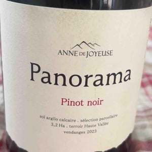 - - Panorama - anne-de-joyeuse -2023