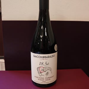 18,5 - Giacomo Baraldo - giacomo-baraldo -2021