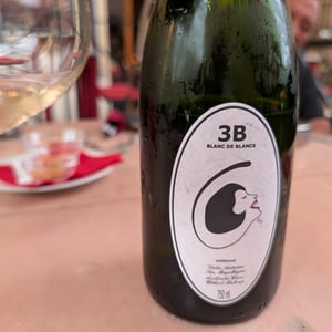 3B Brut Nature Blanc de Blancs - Filipa Pato - filipa-pato-william-wouters