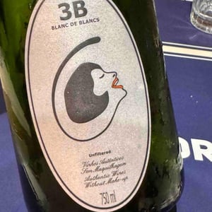 3B Brut Nature Blanc de Blancs - Filipa Pato - filipa-pato-william-wouters
