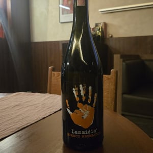 3B - Lammidia - marco-giuliani-davide-gentile -2023