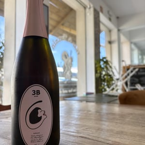 3B Rosé Brut - Filipa Pato - filipa-pato-william-wouters
