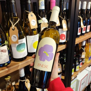 8nese - Tenuta Merumalia - Famiglia Fusco -2023