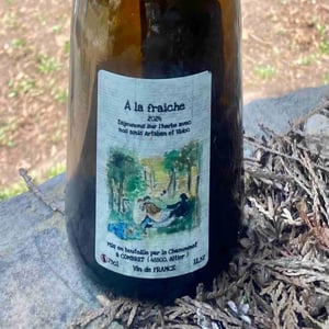 A la fraîche - Domaine du Chamounet - jean-benoit-goulabert -2023