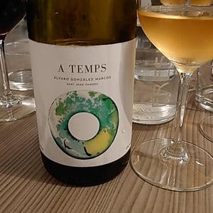 A Temps - Alvaro Gonzalez Marcos - Alvaro Gonzalez Marcos