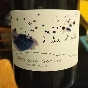 A tiré d’ailes - Charlotte Sonjon - Charlotte Sonjon -2023