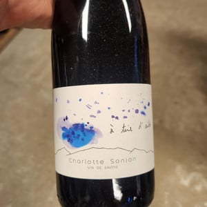 A tiré d’ailes - Charlotte Sonjon - Charlotte Sonjon -2023