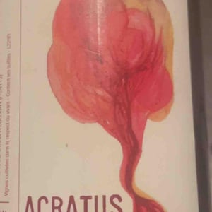 Acratus - Stéphane Cyran - Stéphane Cyran 