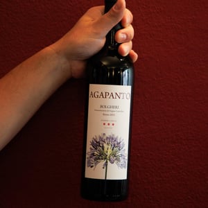 Agapanto Bolgheri DOC - Podere Conca - Silvia Cirri -2021