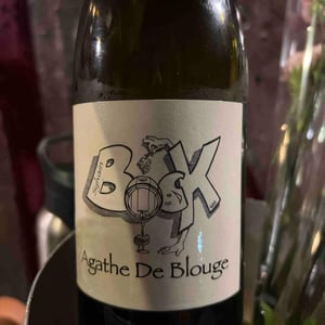 Agathe de blouge - Sylvain Bock - sylvain-bock -2023