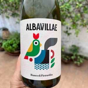 Albavillae - Pietrardita - Pietrardita -2022