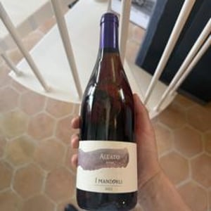 Aleato - I Mandorli - Maddalena Pasquetti & Andrea Bargiacchi 