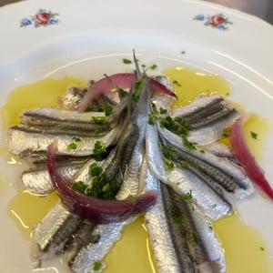 Alici Delle Meraviglie - Pesciolino Briaco - 940482