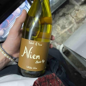 Alien - Domaine Saint-Cyr - Raphaël Saint-Cyr 