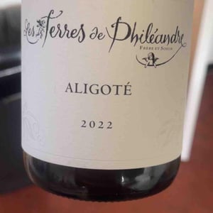 Bourgogne Aligoté - Domaine Dubuet - maxime-dubuet-boillot -2020
