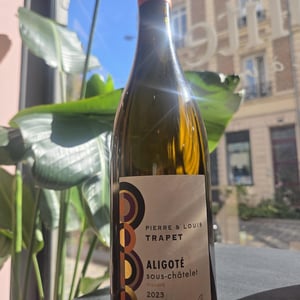 Aligoté sous-chatelet macéré - Trapet - Pierre et Louis Trapet 