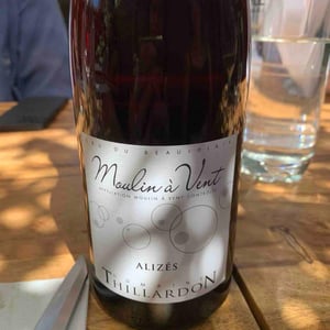 Alizés - Domaine Thillardon - aude-jean-baptiste-charles-et-paul-henri-thillardon -2020