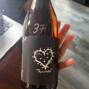Allegre X Barbara Schapke - Azienda Agricola Calogero Caruana - Calogero Caruana -2022