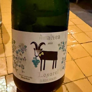 Almatea - Loxarel - Josep Mitjans