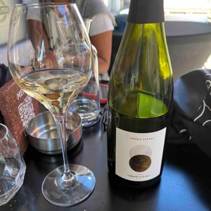 Alsace - riesling - Vins Schaal - julien-et-sophie-schaal -2023