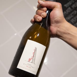 Altitude 350 m - Domaine Salima et Alain Cordeuil - Salima & Alain Cordeuil 