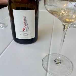 Altitude 350 m - Domaine Salima et Alain Cordeuil - Salima & Alain Cordeuil -2017