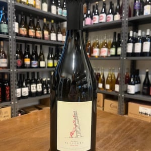Altitude 350 m - Domaine Salima et Alain Cordeuil - Salima & Alain Cordeuil -2017