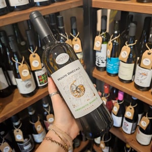 Ammonite Bianco - Cantina Monte Brècale - Cantina Monte Brècale -2016
