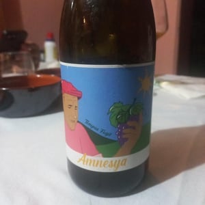 Amnesya - Podere Luisa - Sauro Burzagli e Romina Erbosi 