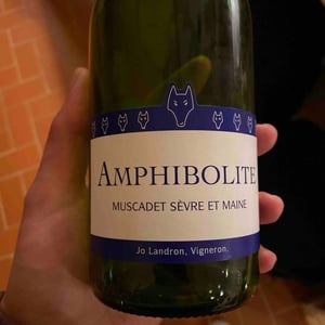 Amphibolite - Domaine Jo Landron - jo-landron