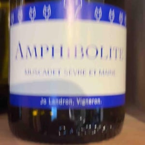 Amphibolite - Domaine Jo Landron - Jo Landron 