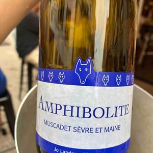 Amphibolite Nature - Domaine Jo Landron - jo-landron