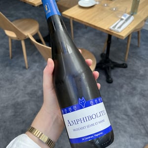 Amphibolite - Domaine Jo Landron - Jo Landron 