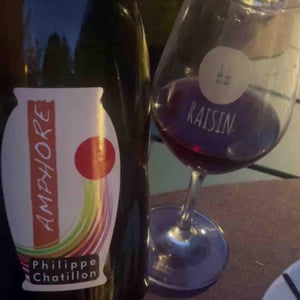 Amphore Trousseau - Domaine Philippe Chatillon - Philippe Chatillon -2020