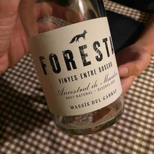 Ancestral de Macabeu - Vins de Foresta - lluis-carsi-y-gerard-maristany -2021